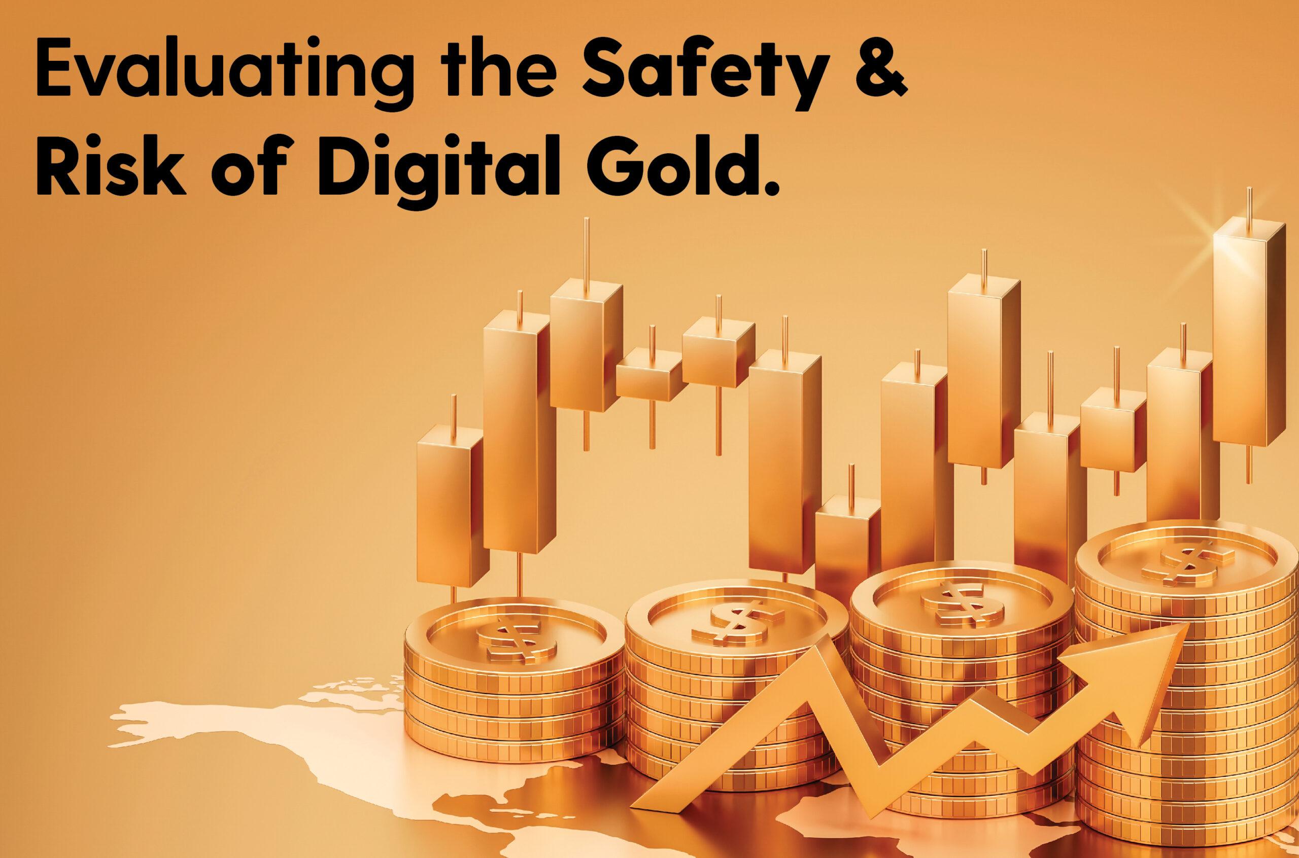 Evaluating Safety and Performance of Digital Gold Platforms