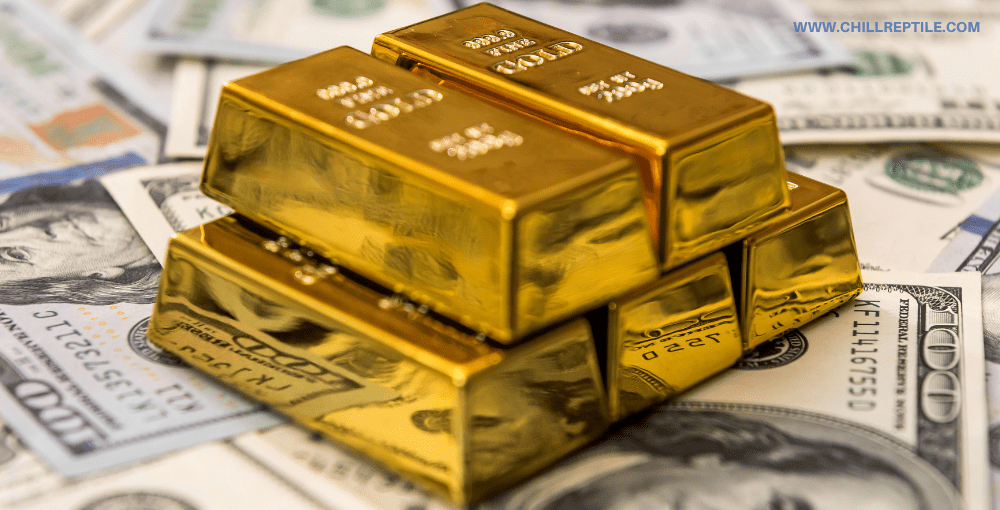 Choosing the Right Gold IRA Provider: A Detailed Comparison